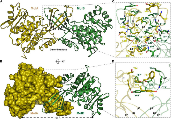 FIGURE 2