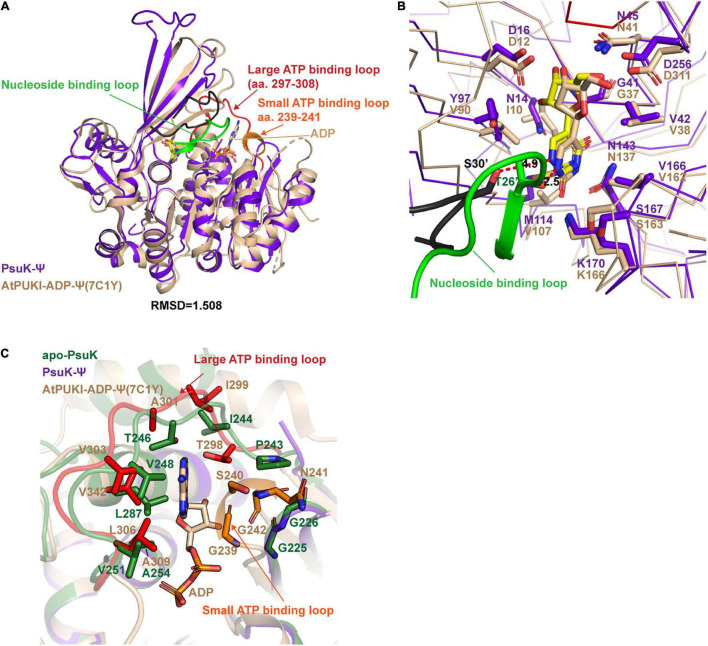 FIGURE 4