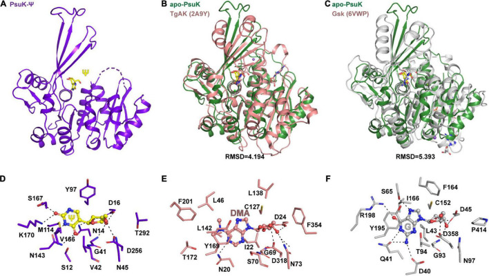 FIGURE 6