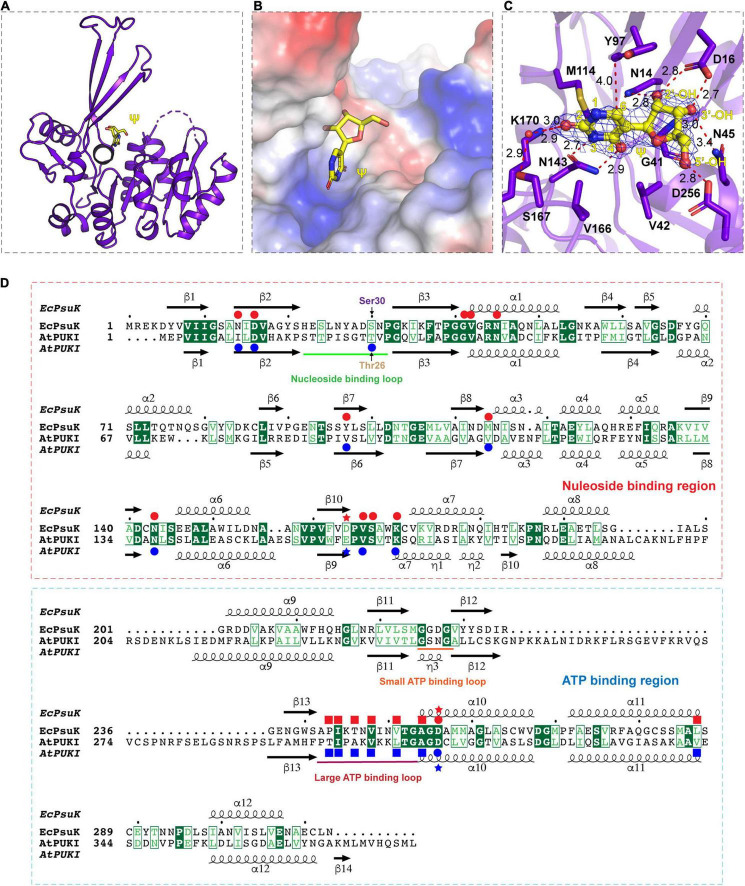 FIGURE 3