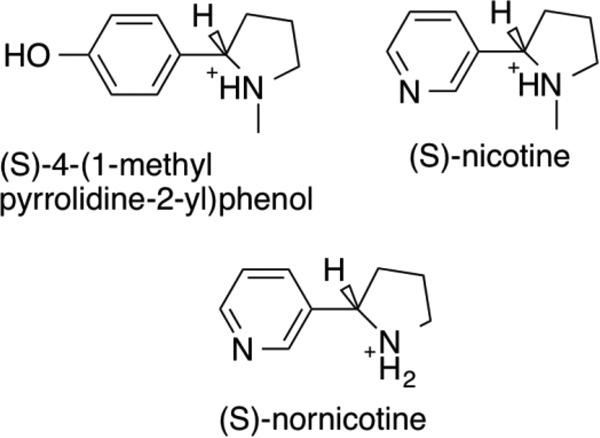 Scheme 4