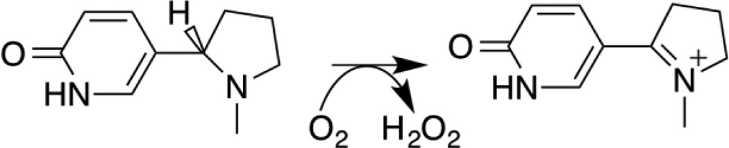 Scheme 3