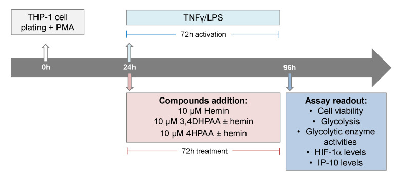 Scheme 2