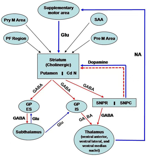 FIGURE 1