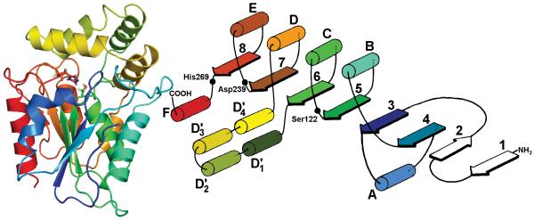 Fig. 2