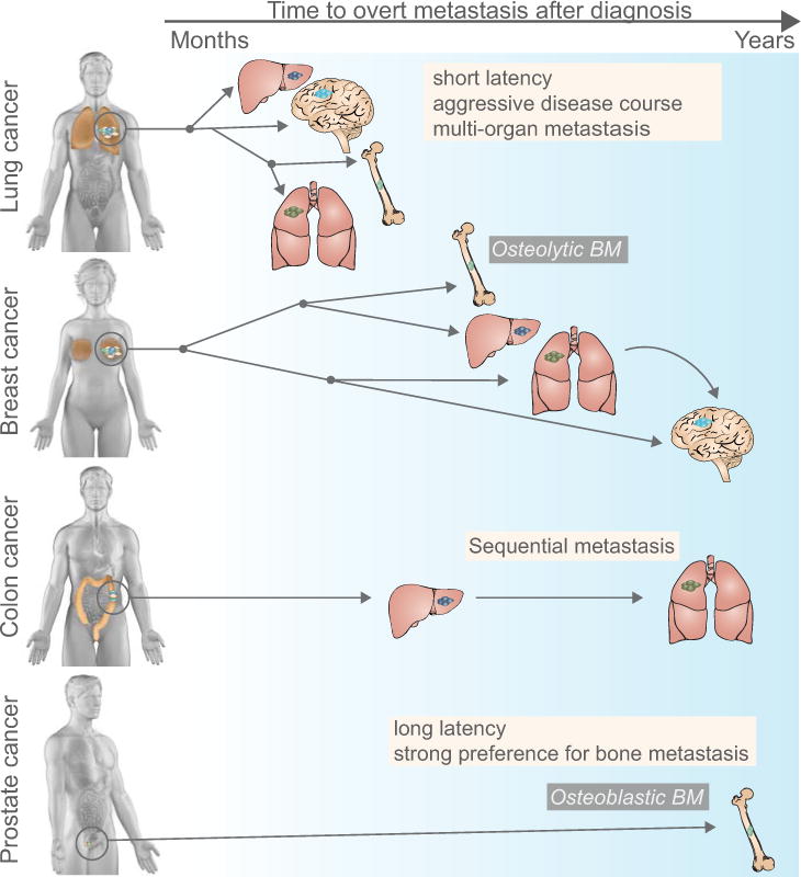 Figure 1, Key Figure