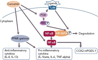 Figure 2: