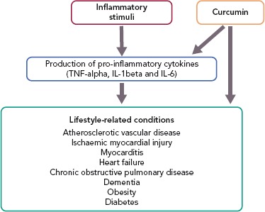 Figure 1: