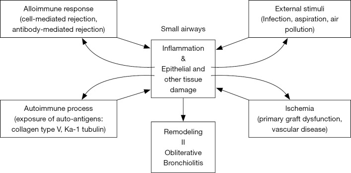 Bronchiolitis obliterans syndrome and restrictive allograft syndrome ...