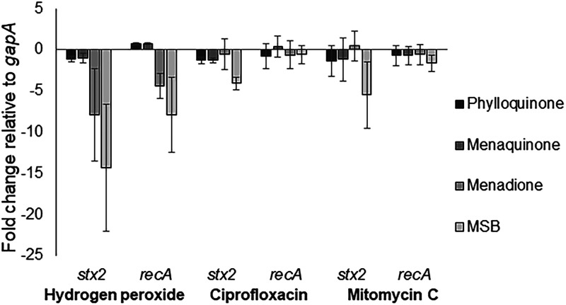 FIG 6