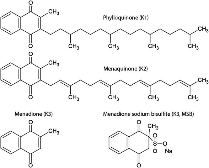 FIG 1