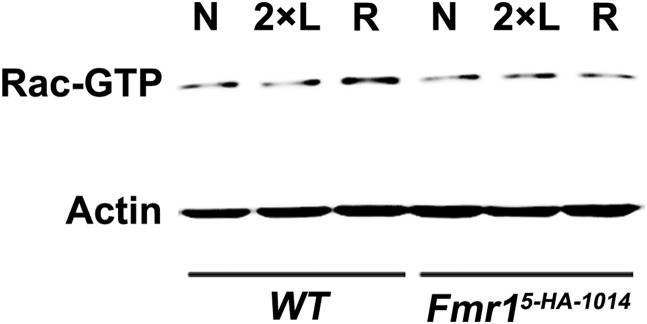 Fig. S1.