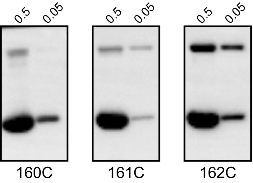 Fig. S2.