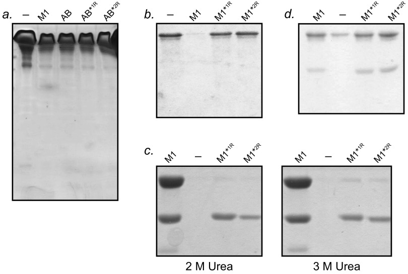 Fig. S3.