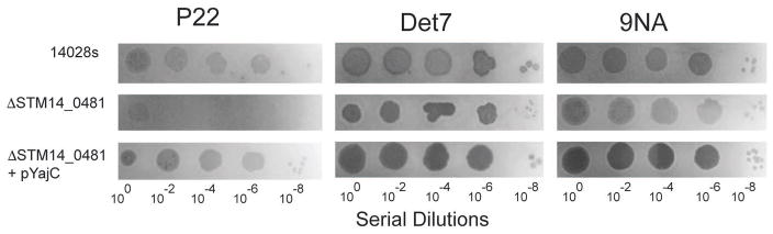 Figure 5