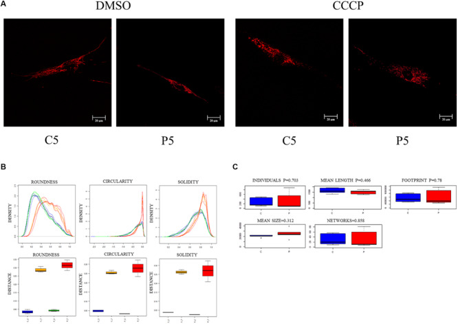 FIGURE 3