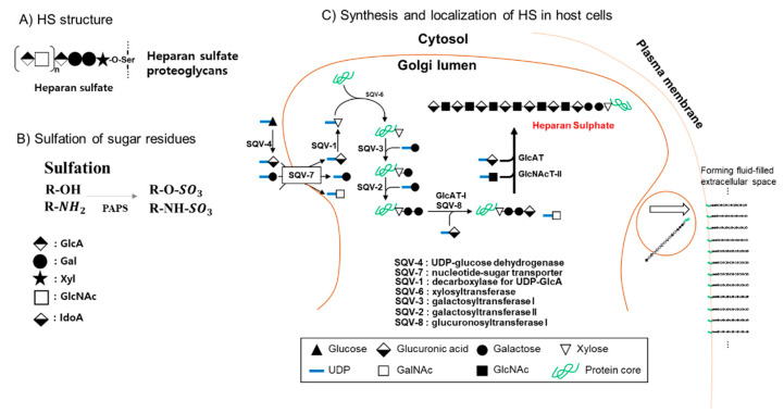 Figure 9