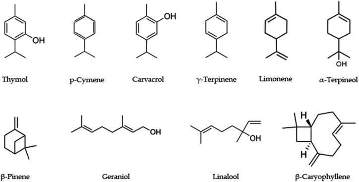 Figure 4