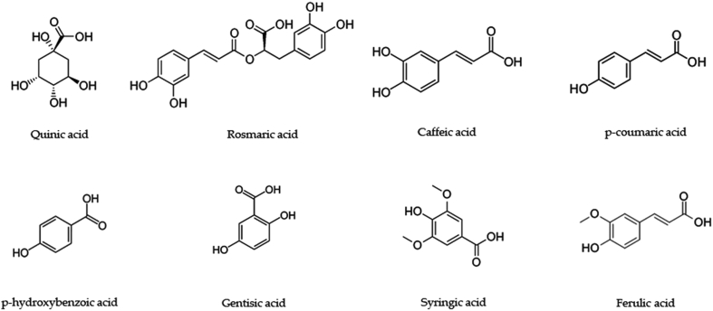 Figure 3