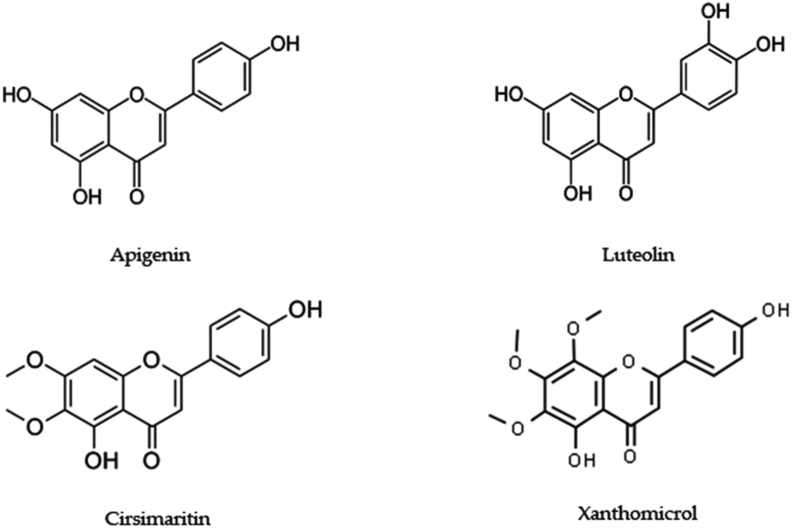 Figure 5