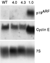 FIG. 6