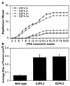 FIG. 8