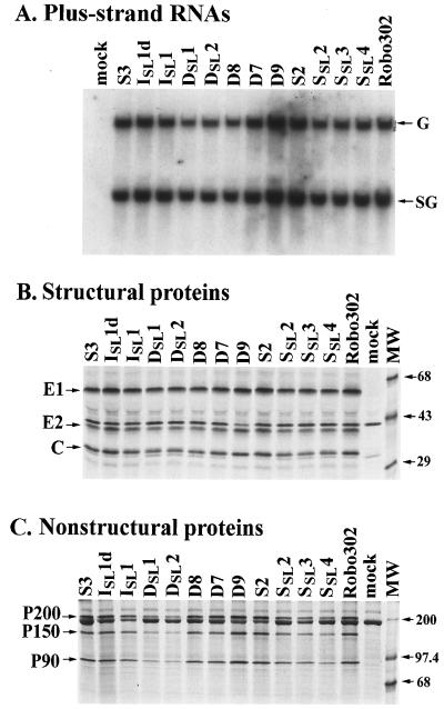 FIG. 5