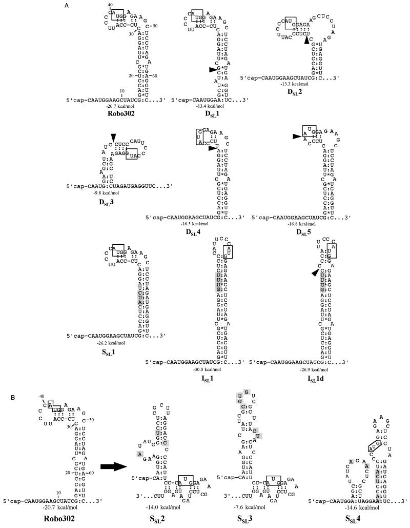 FIG. 4
