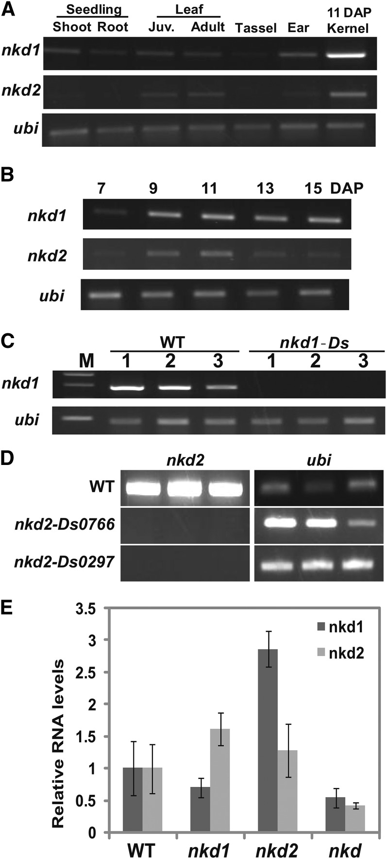 Figure 6.