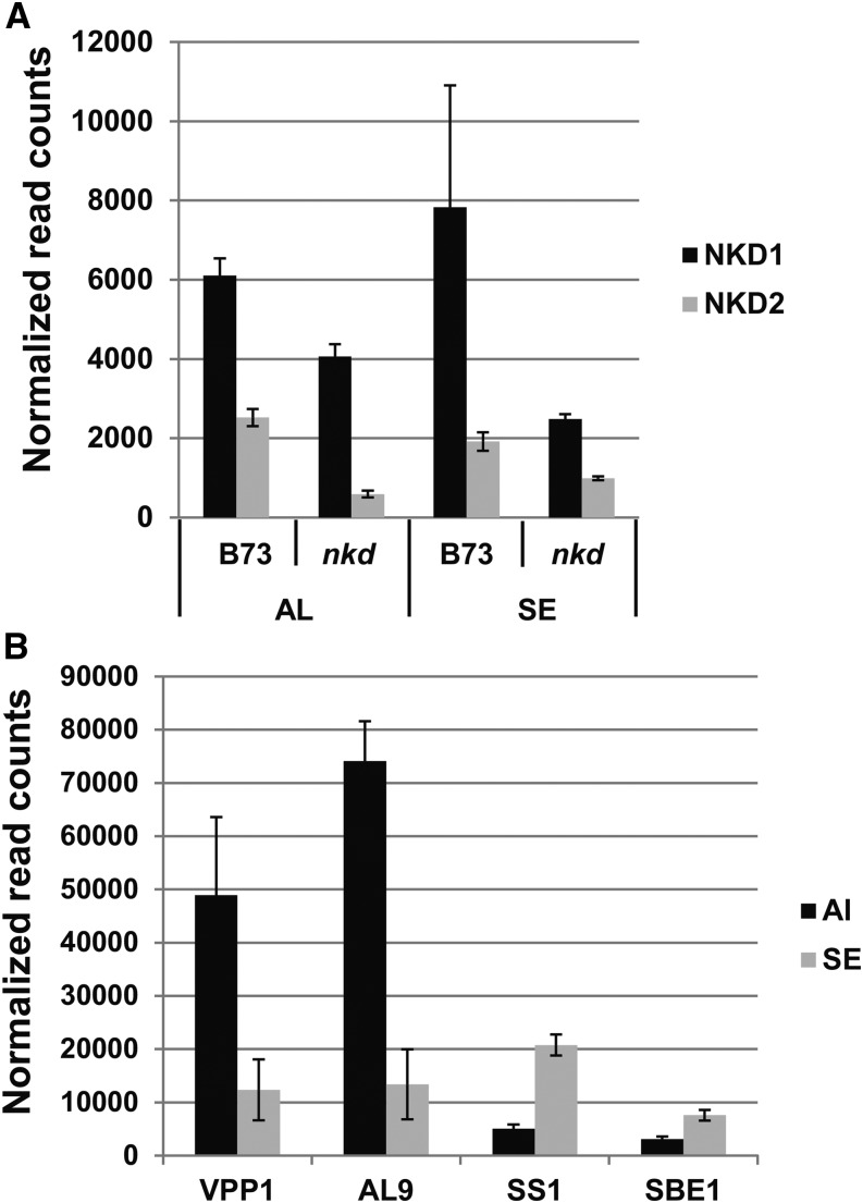 Figure 7.