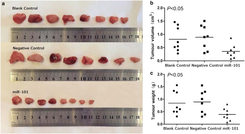 Fig. 7