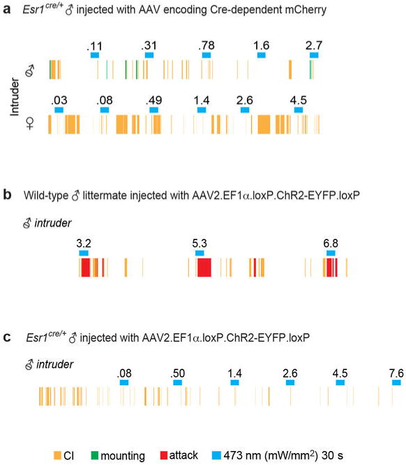 Extended Data Figure 3