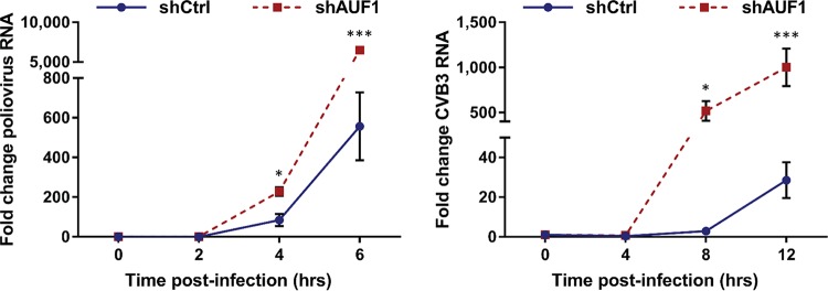 FIG 2 