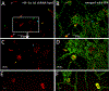 Figure 4: