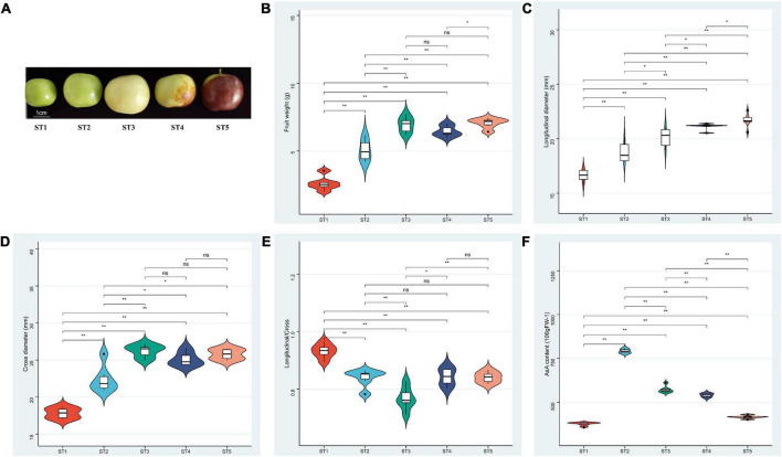 FIGURE 1