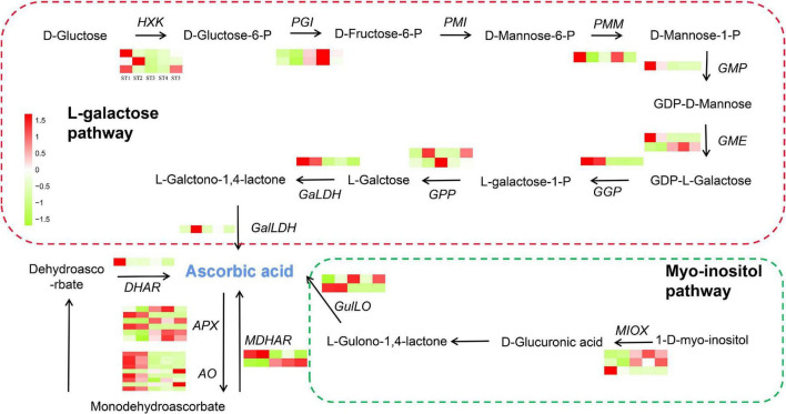 FIGURE 4