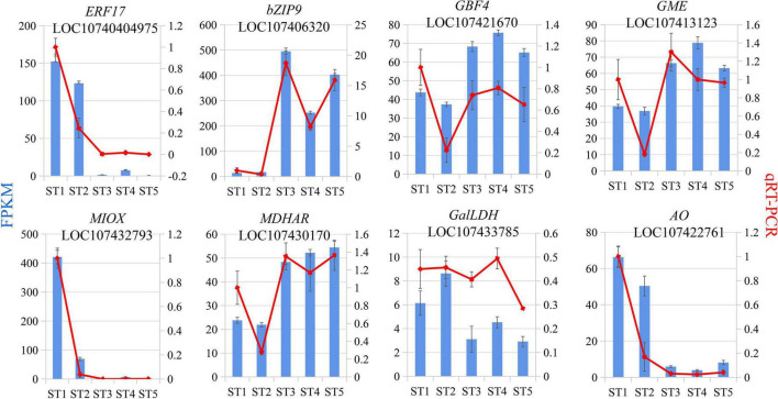 FIGURE 7