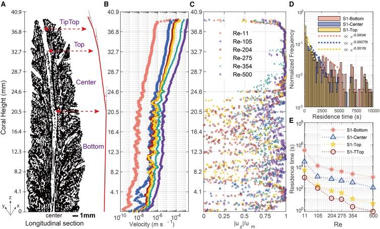 Figure 3