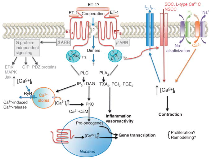 FIGURE 1