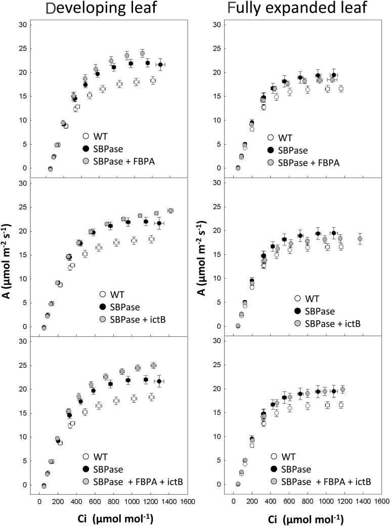 Fig. 7.