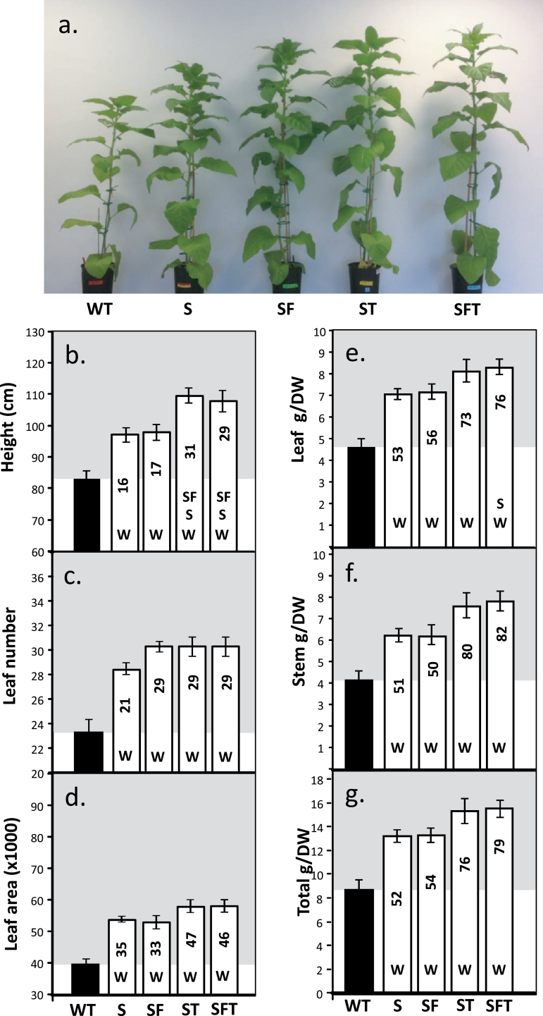 Fig. 9.