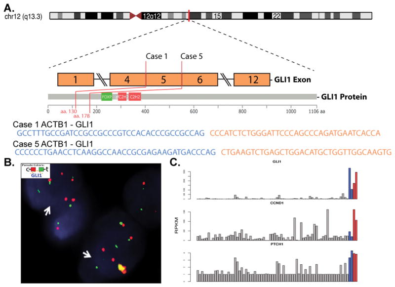 Figure 4