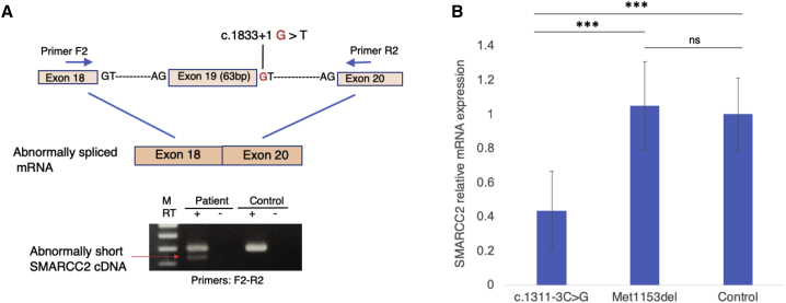 Figure 3