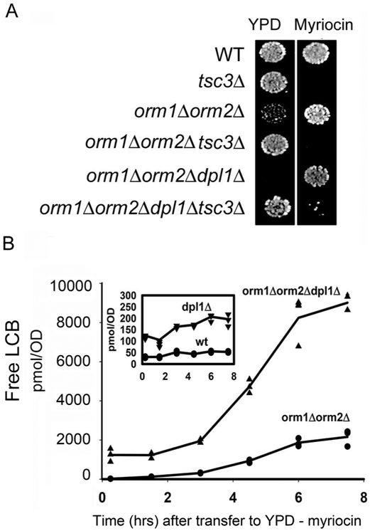 Figure 9.