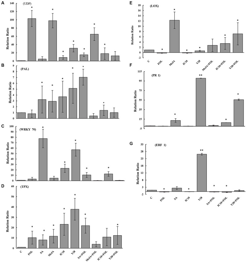 FIGURE 6