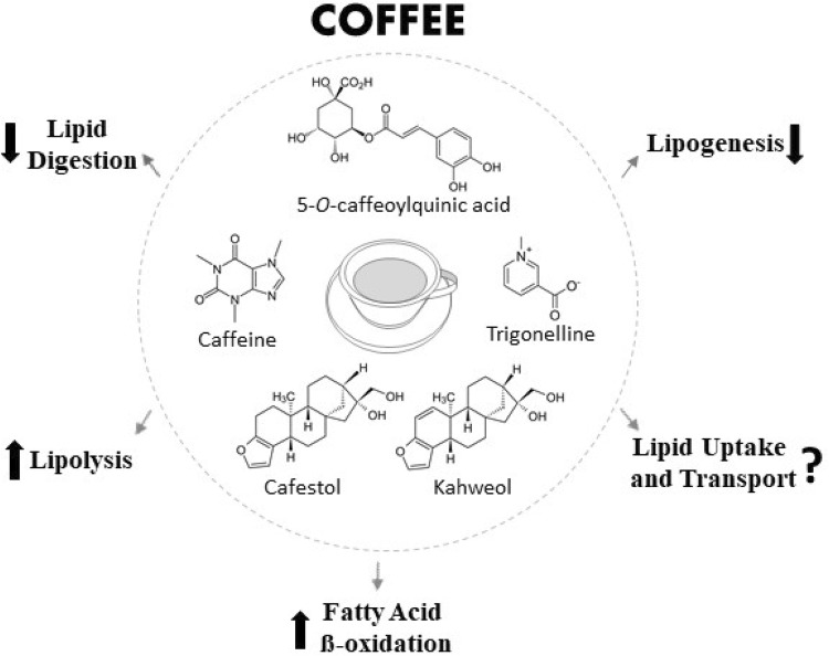 Fig. 1