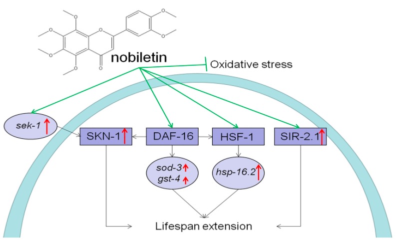 Figure 10