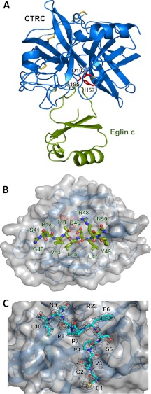 FIGURE 1.