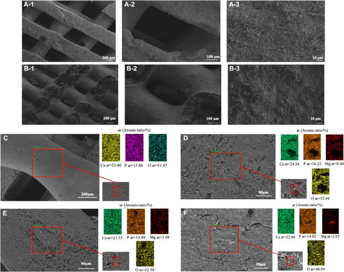 Fig. 3