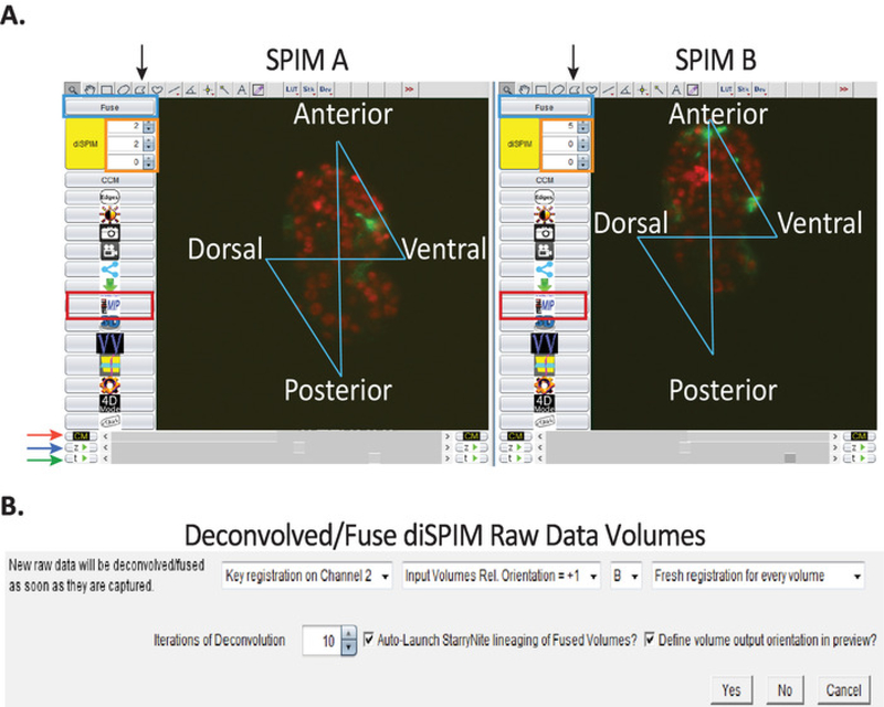 Figure 3: